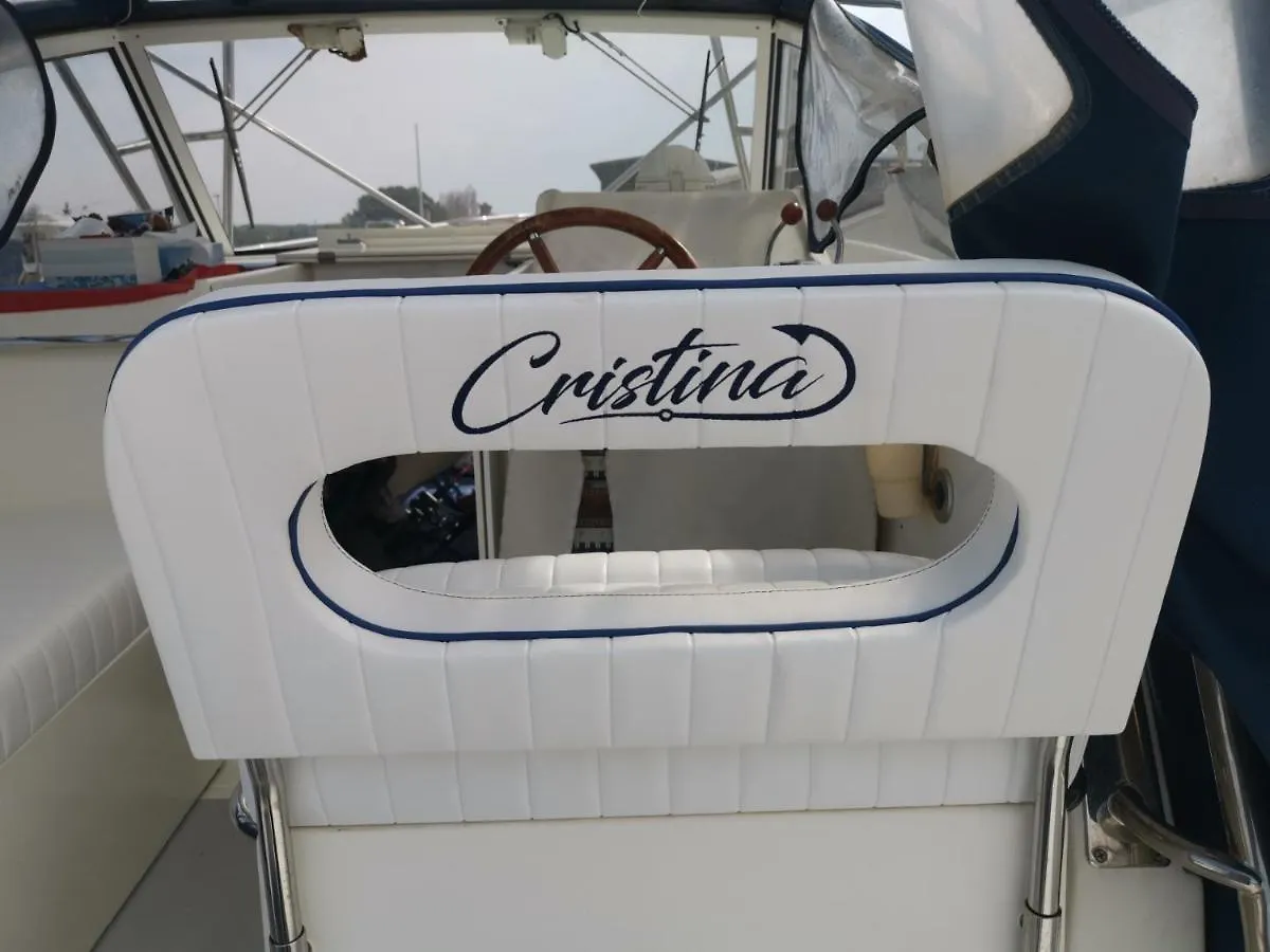 מלון פיומיצ'ינו Cristina 0*,